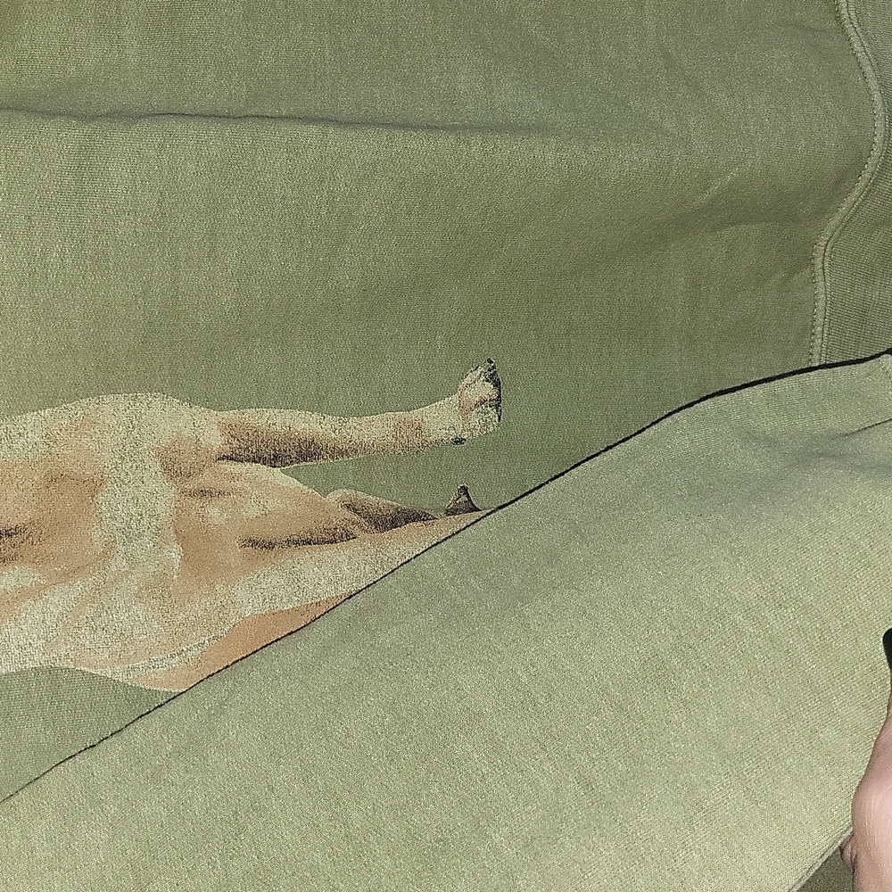 Anthropologie Dogs Graphic Sweatshirt - Picture 9 of 9